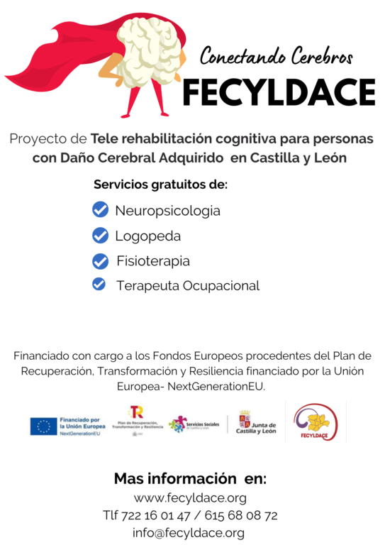 Proyecto Conectando Cerebros